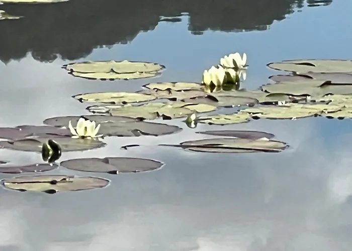 Apartment New Gramsh